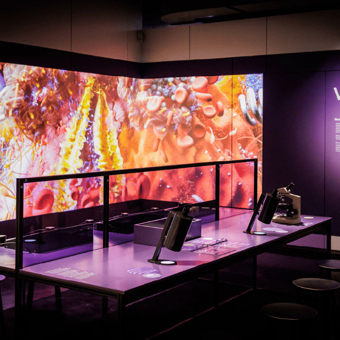 AMERICAN FRIENDS OF THE NATIONAL MUSEUM BOERHAAVE